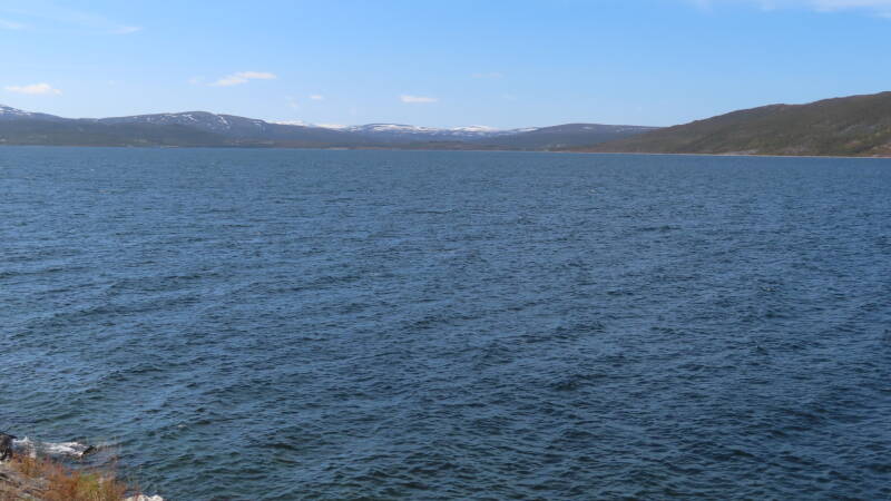 img_4781-standard.jpg