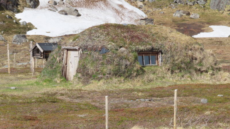 img_4830-standard.jpg