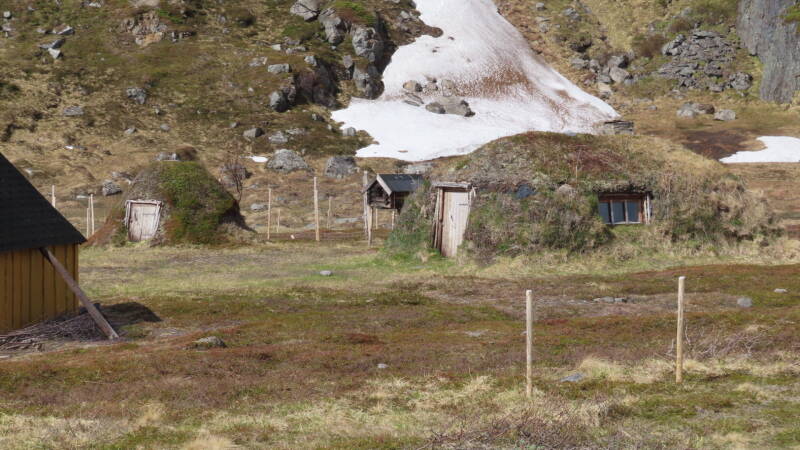 img_4831-standard.jpg