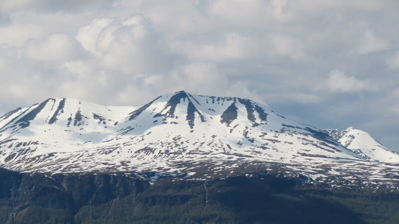 img_4925-standard.jpg