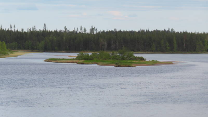 img_5110-standard.jpg