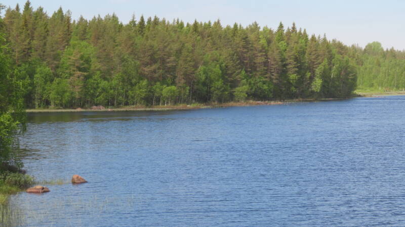 img_5137-standard.jpg