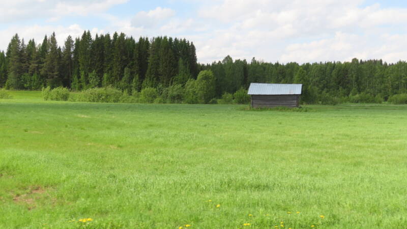 img_5146-standard.jpg