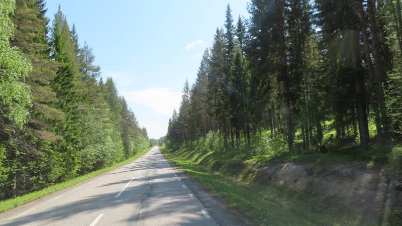 img_5154-standard.jpg