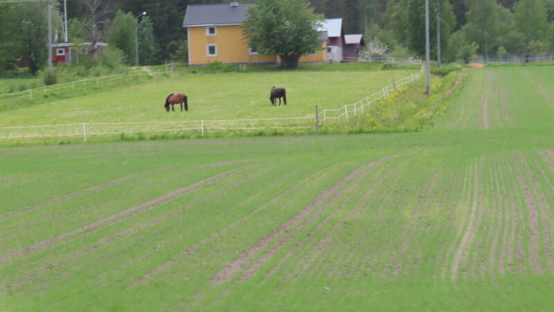 img_5156-standard.jpg