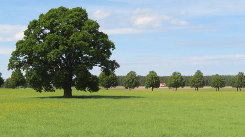 img_5280-standard.jpg