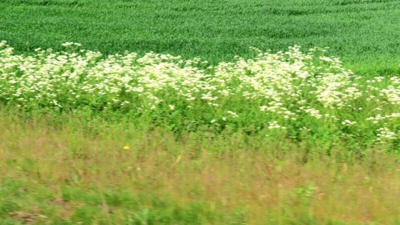 img_5310-standard.jpg