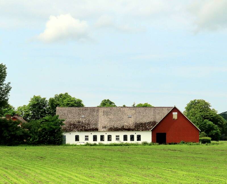 img_5311-standard.jpg