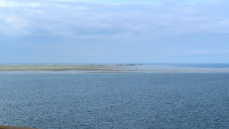 img_5330-standard.jpg