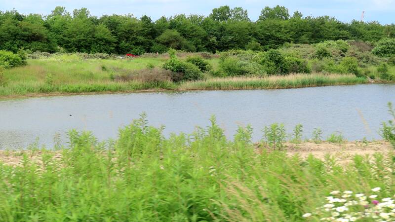 img_5339-standard.jpg