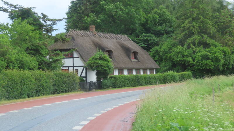 img_5385-standard.jpg