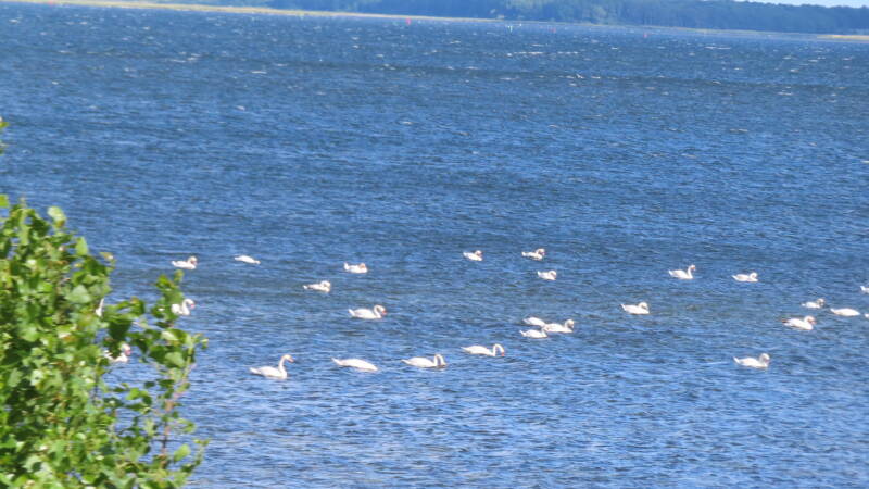 img_5427-standard.jpg