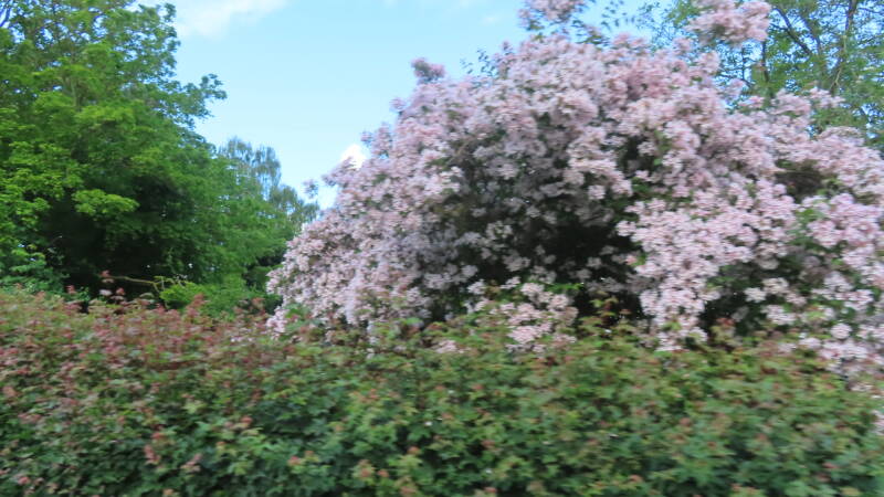 img_5467-standard.jpg