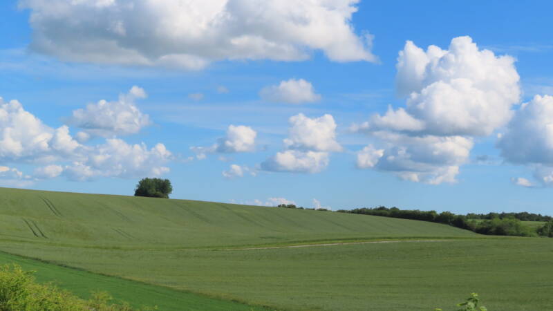 img_5492-standard.jpg