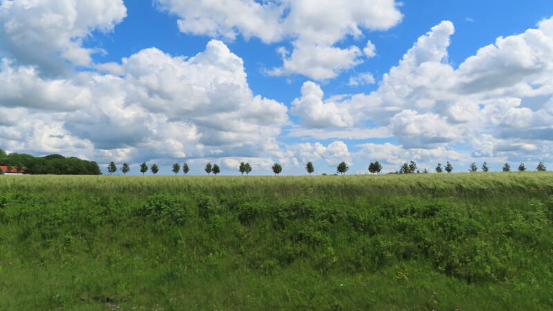 img_5508-standard.jpg