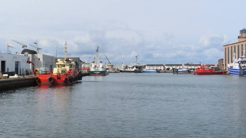 img_5522-standard-nb0oog.jpg