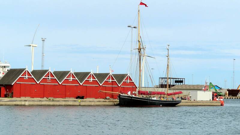 img_5635-standard.jpg