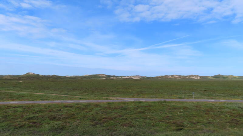 img_5717-standard.jpg