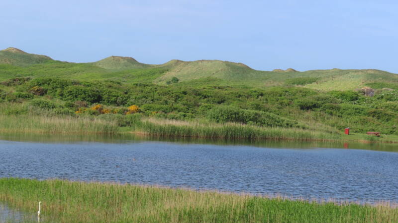 img_5725-standard.jpg
