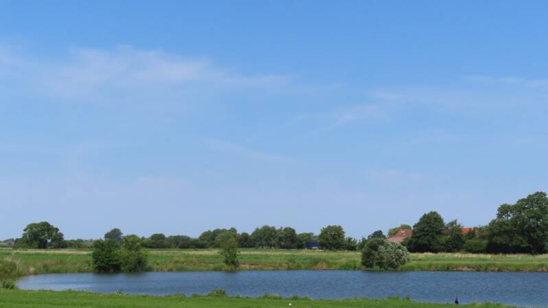 img_5775-standard.jpg