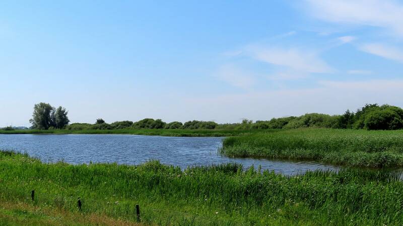 img_5794-standard.jpg