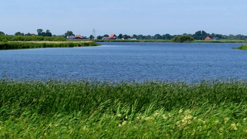 img_5798-standard.jpg