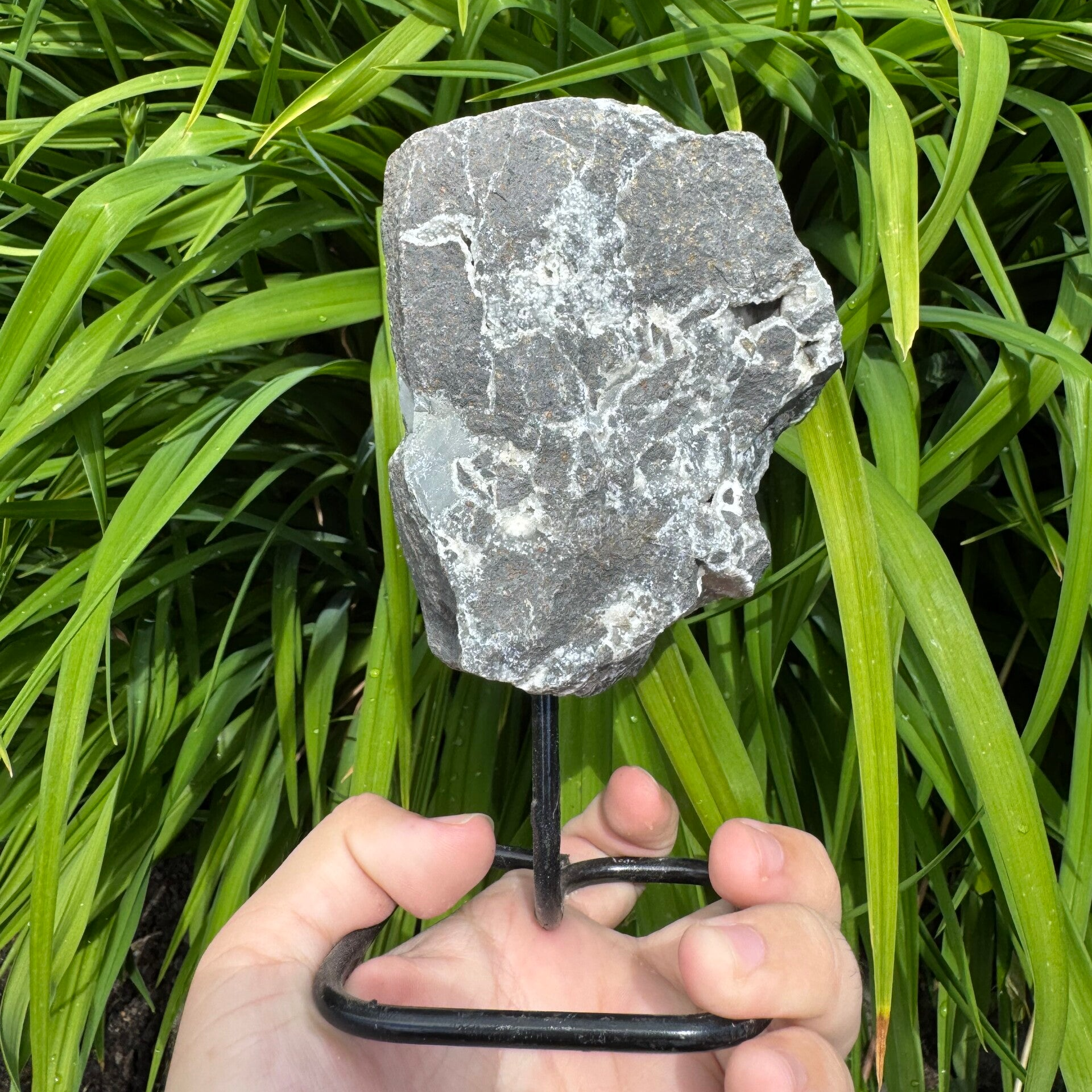 Basalt met kwarts op standaard