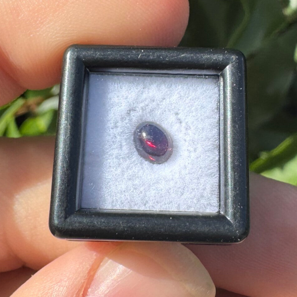 Zwart opaal uit Ethiopie in bakje (cabochon)