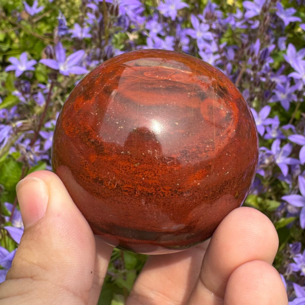 Versteend hout bol