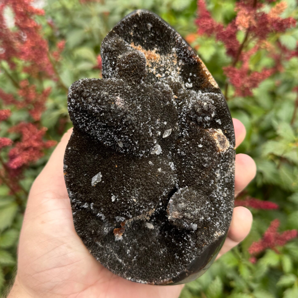 Septarie 0,9 kg