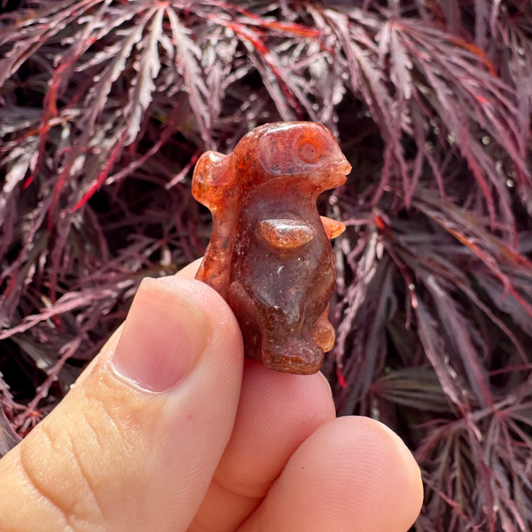 Charmeleon beeldje