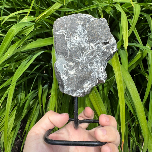 Basalt met kwarts op standaard