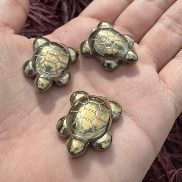Schildpad hanger