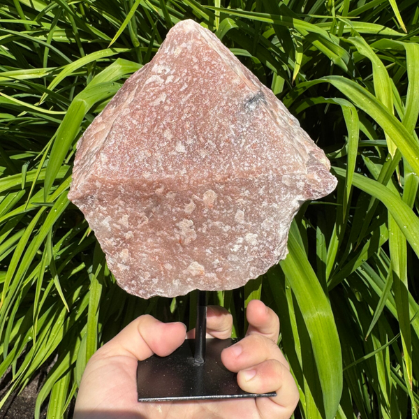 Roze calciet op standaard