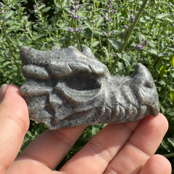 Yooperlite draken schedel