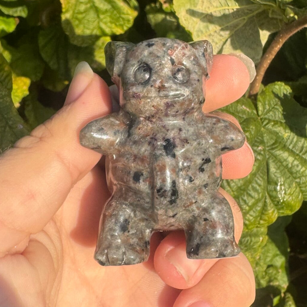 Yooperlite wartortle beeldje