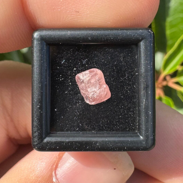 Spinel in bakje
