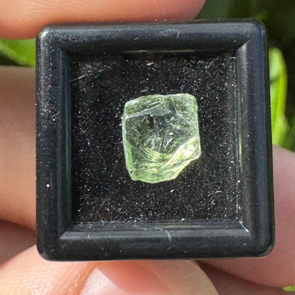 Peridot in bakje