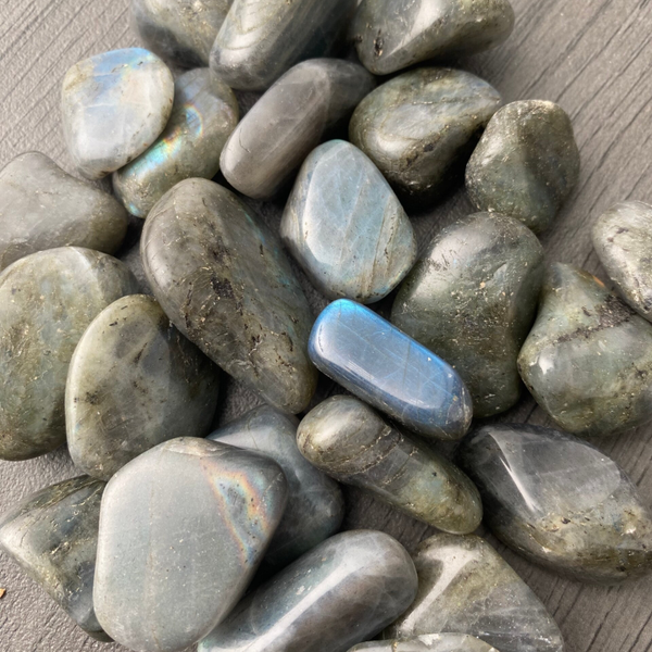 Labradoriet getrommeld