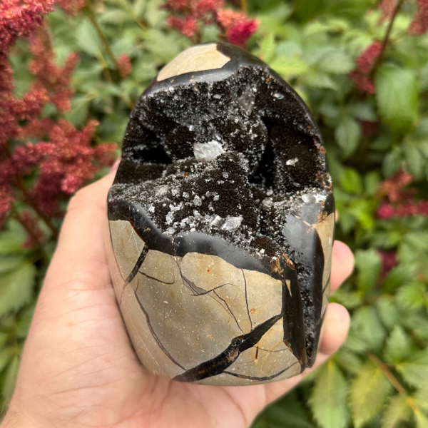 Septarie 1kg