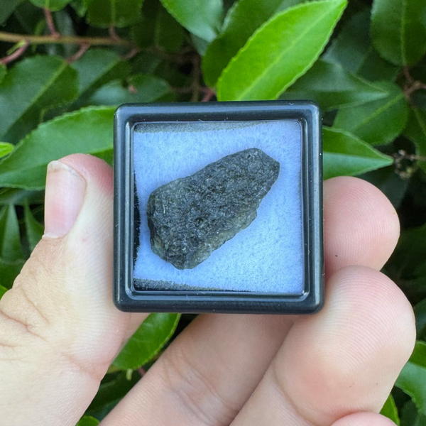 Moldaviet 1,9 gram