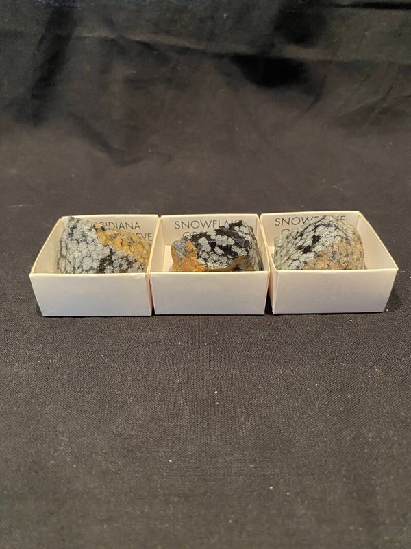 Sneeuwvlok obsidiaan ruw