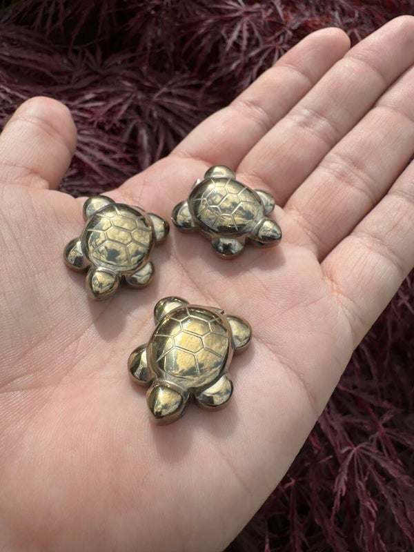 Schildpad hanger