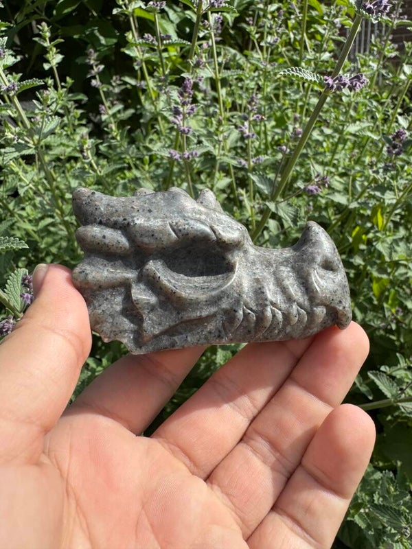 Yooperlite draken schedel