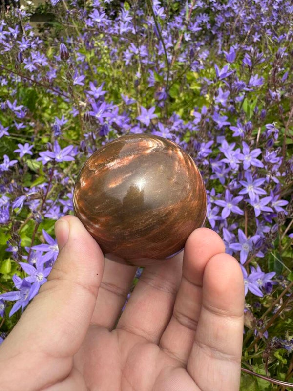 Versteend hout bol