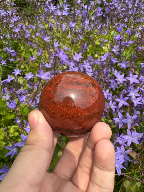 Versteend hout bol