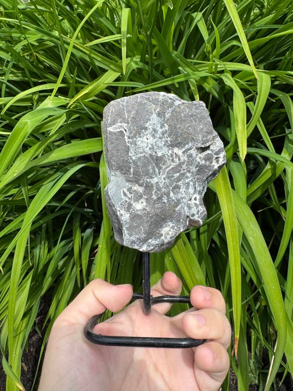 Basalt met kwarts op standaard