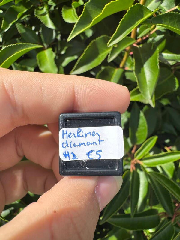 Herkimer diamant in bakje