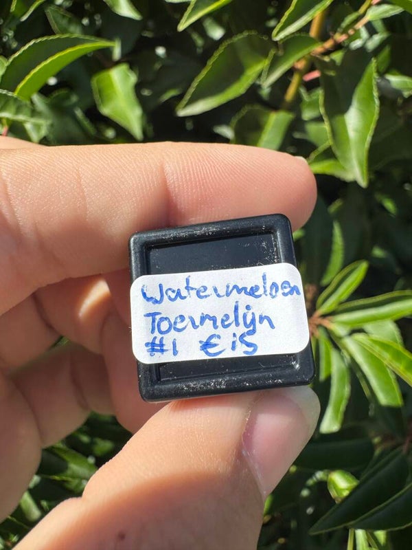 Watermeloen toermalijn in bakje