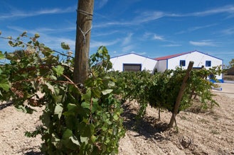 Finca Sandoval